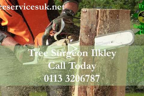 Tree Surgeon Ilkley LS29 Tree Felling Pruning Stump And Root Removal Services In Ilkley Near Me