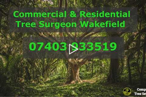 Tree Removal Wakefield WF1 - Local Tree Services & Tree Surgery Company - Tree Surgeon Near Me