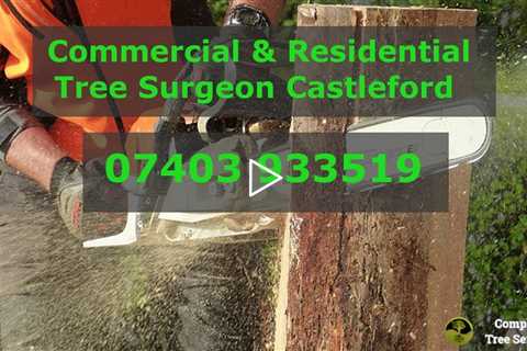 Tree Removal Castleford WF10 - Local Tree Services & Tree Surgery Company - Tree Surgeon Near Me