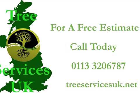 Tree Surgeon Selby North Yorkshire Y08 - Tree Felling And Removal Services Stump Grinding West
