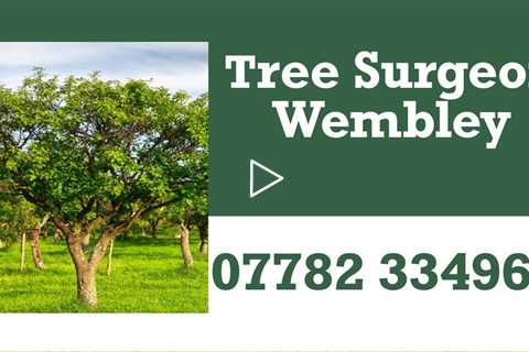 Tree Surgeon Wembley Tree Felling Pruning Root & Stump Removal Services Commercial & Residential