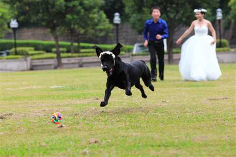 Our Experts Are Trained Professionals In Managing Wedding Organizers Problems In Robertson Quay |..