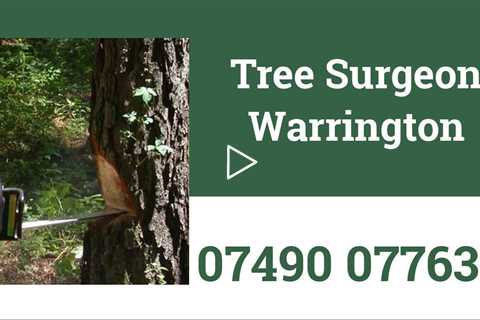 Tree Surgeon Warrington Tree Stump & Root Removal 24hr Tree Services Commercial and Residential