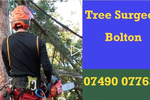 Tree Surgeon Bolton 24hr Tree Removal Root Removal Stump Removal & Other Tree Services