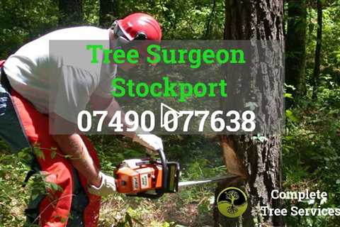 Tree Surgeon Stockport Stump Root And Tree Removal Tree Felling And Pruning Tree Surgeons Near Me