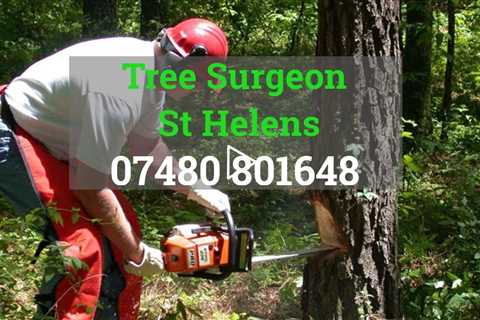 Tree Surgeon Saint Helens 24 hr Tree Felling Root & Stump Removal Services Commercial & Residential