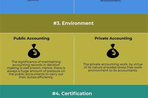 The Pros and Cons of Public Accounting