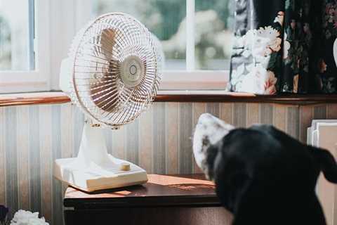 Fan sales up 640% and air conditioners up 525%