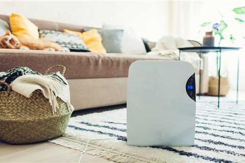 Will a dehumidifier kill my houseplants?