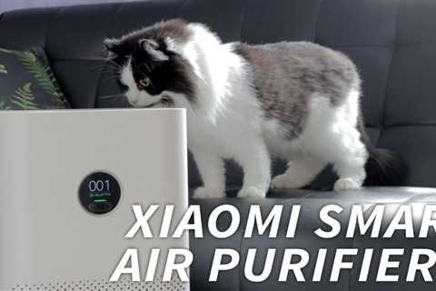 [Watch] Why this Xiaomi air purifier is a smart addition to homes, especially ones with pets