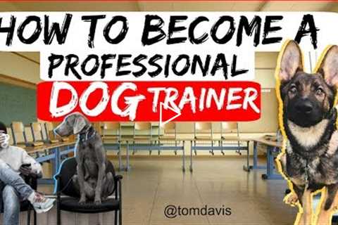 How to become a professional dog trainer? - Everything you need to know to become a dog trainer-