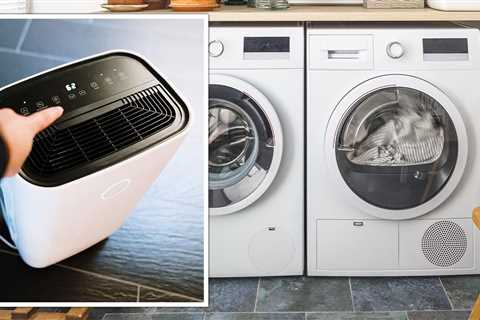How to dry clothes without a tumble dryer: Dehumidifier is the “perfect” solution