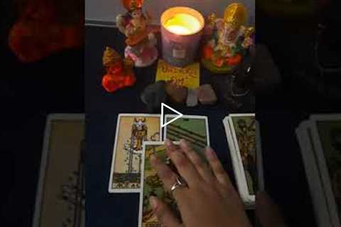 Career Guidance| Tarot Reading #shorts #blessed #guidance #tarot #career #professional #blessings