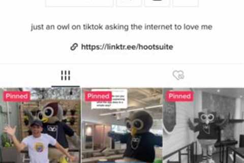 How To Get Verified on TikTok: Tips for a Successful Application