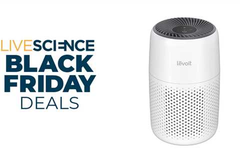 Get clean air for under $45 with this Levoit Black Friday air purifier deal
