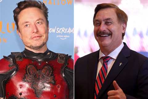 MyPillow CEO Mike Lindell is back on Twitter following the reinstatement of more banned accounts