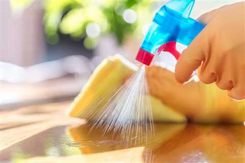 Local House Cleaning In Hailey Idaho