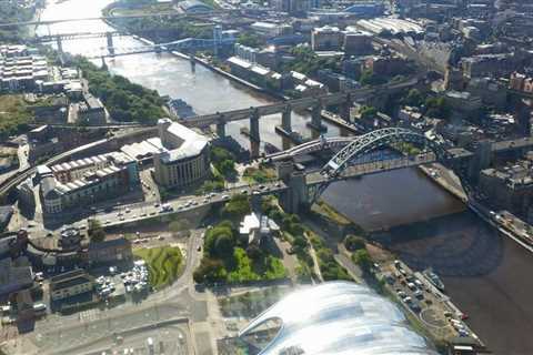 The Newcastle business directory and Hunter River District for Beginners  — greaseteeth14