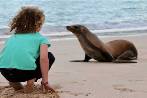 Galapagos Islands, the Perfect Multi-Generation Trip!