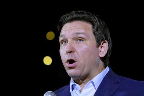 Who Would Make A More Exciting Presidential Candidate: Ron DeSantis Or A Piece Of Dry Toast?