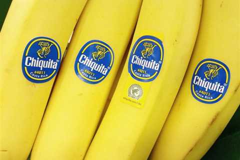 Human Rights Lawsuit Against Chiquita Brands Gets Trial Date