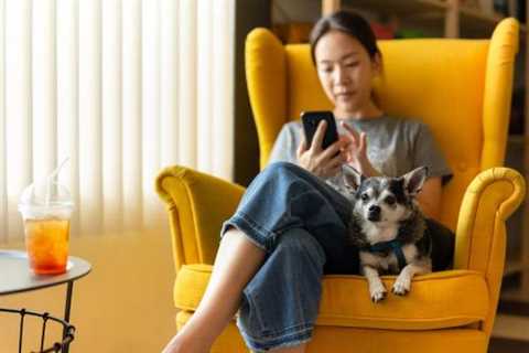 Is the Office Going to the Dogs? “Ruff” Questions on Service and Emotional Support Animals
