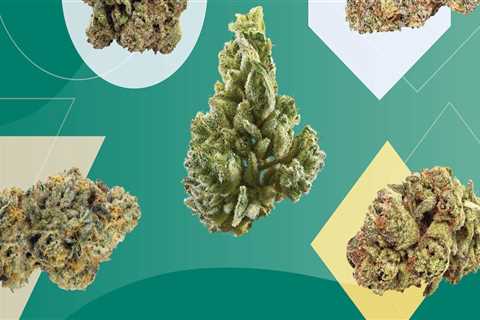 Which thc is most potent?