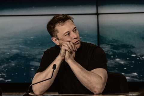 Breaking News: Elon Musk Purchasing a Majority Stake in American Airlines