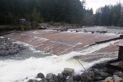 Washington Dam Owner Will Pay $1M for Rehab's River Pollution