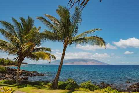 Underwater Investment: SEC Sues Hawaiian Semisubmersible Company for Offering Fraud