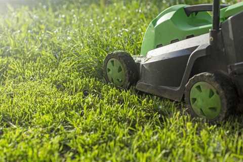 Best electric lawn mowers of 2023