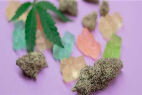 What cbd gummy is best for pain?