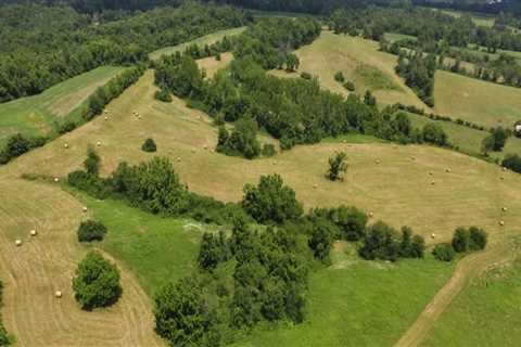 Understanding Conservation Easements for Land Parcels