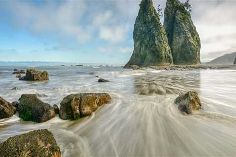 Does resilience stack with botany knowledge?