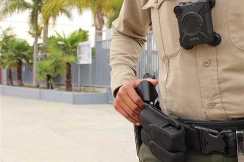Inside Track: Is Providing Personal Security to the CEO Savvy Risk Management or Ego-Stroking?