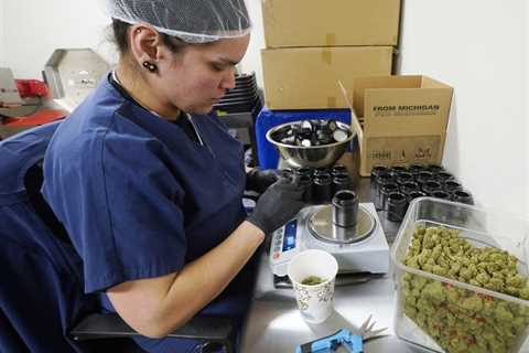 Michigan Cannabis Debts | A Cannabis Practice Launches | Vicente's New Counsel | Minnesota's..
