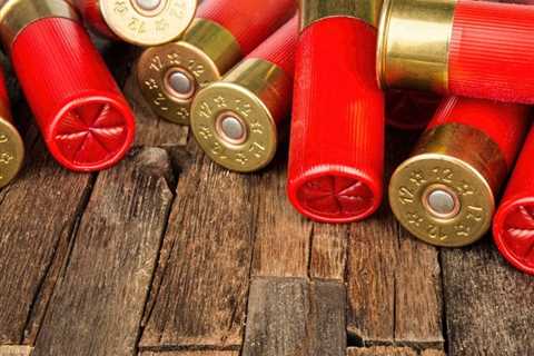 Appellate Court Sides With Newspaper's Coverage of Judge's 'Warning Shot' Incident
