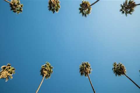 15 Best Writing Classes in Los Angeles