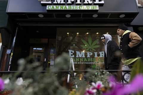 NYC 'Raids'/California Labor Warning/Cannabis Bar's New Board/Thompson Coburn's New Cannabis..