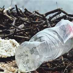 The Devastating Impact of Bottled Water on the Environment: A Comprehensive Guide