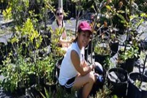 Volunteering in Central Florida: Make a Difference and Change Lives