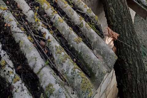 The Importance Of Immediate Roof Replacement After Storm Damage In Northern VA And Having General..