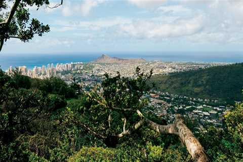 Marketing Your Business in Hawaii: 5 Tips for Newcomers