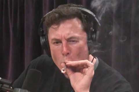 Free Speech Absolutist Elon Musk Takes ADL To Court Over Words He Doesn’t Like — See Also