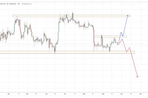 Bitcoin: From Boom to Bust and Back