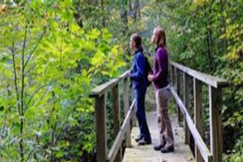 Finding Job Openings at a Voluntary Organization in Delaware, Ohio