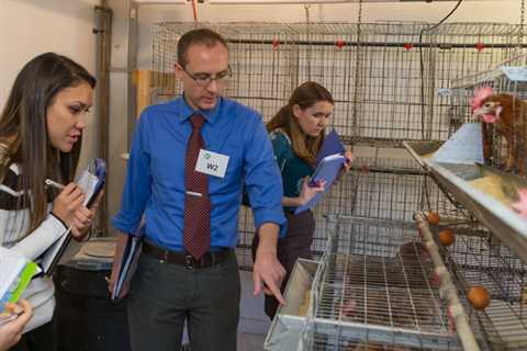 Ready for a challenge? Test your animal welfare knowledge
