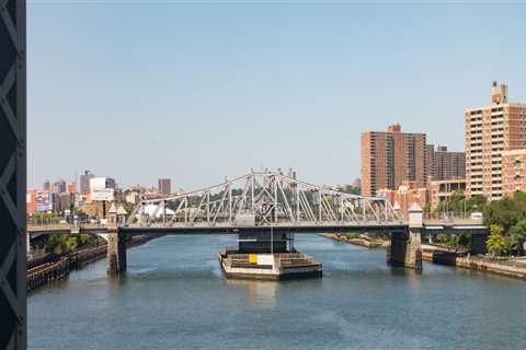 What Types of Businesses are Most Popular in the Bronx, New York?