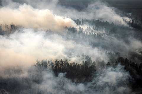 Record-Breaking Boreal Fires May Be a Climate 'Time Bomb'