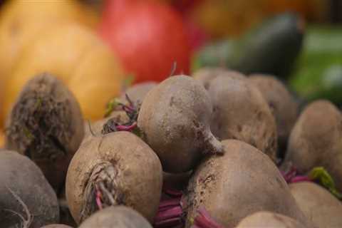 Insurance Requirements for Food Businesses in York County, SC: An Expert's Guide